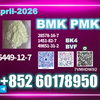 CAS 5449-12-7 New B.MK Reserve Your Order Now