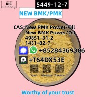 Hot Sale New BMK Power CAS 5449-12-7/5413-05-8