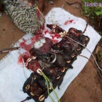 +27782293659 HOW TO JOIN ILLUMINATI IN SOUTH AFRICA USA CANADA UK GERMANY FRANCE AUSTRALIA DUBAI KEN