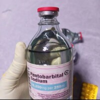 Acheter  pentobarbital en ligne à France (Acheter Nembutal)