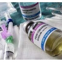 Kup roztwór doustny Nembutalu online tylko za Bitcoiny