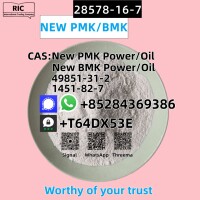 High Quality CAS 28578-16-7/52190-28-0 New PMK Ethyl Glycidate
