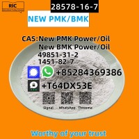 Ethyl Glycidate 28578-16-7 New PMK Power