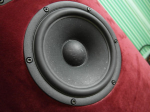 Niskie tony i część średnicy przetwarza głośnik SB Acoustics