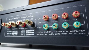 Haiku Audio SOL Indigo - test. Haiku oznacza wejścia inaczej, niż większość producentów. Kolor czerwony - kanał lewy. Zielony - prawy (fot. wstereoe.pl)