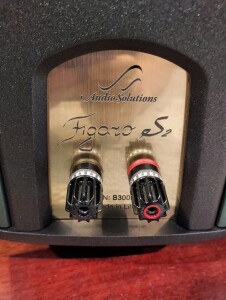 AudioSolutions Figaro S2 - test. Pojedyncze terminale głośnikowe pochodzą od WBT (fot. wstereo.pl)