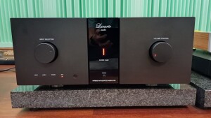 Lucarto Audio Ferro IA60 - test. Piękny projekt przedniego panelu (fot. wstereo.pl)