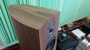 TAGA Harmony Diamond B-60 v.3 - test. Świetnie położona okleina,  staranne wykończenie (fot. wstereo.pl)
