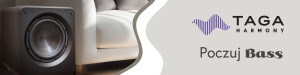 Wstereo (1) Baner