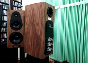 Bryston Compact T10 - test. Trzy okleiny są w standardzie, na zamówienie można zamówić inne kolory (fot. wstereo.pl)